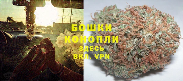 спайс Алзамай
