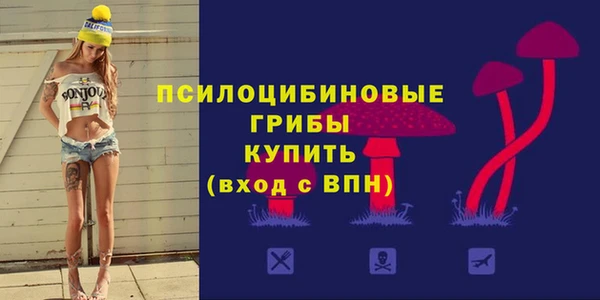 спайс Алзамай