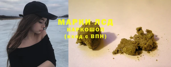 спайс Алзамай