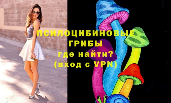 синтетический гашиш Алексеевка